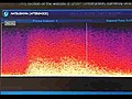 El sonido del terremoto | BahVideo.com