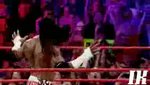 WWE Booker T Entrande Vid o | BahVideo.com