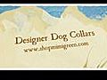 Designer dog collars and acessories | BahVideo.com