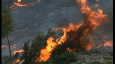 Grote bosbrand op eiland | BahVideo.com