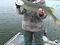 Bass and Muskie Fishing in Winter Spring Lake  | BahVideo.com