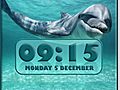Dolphin Alarm Clock | BahVideo.com