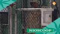 Nederlandse betrokkenheid in Guant namo NioScoop 24-06-2007 | BahVideo.com