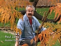 Fall and Winter Lawn Care | BahVideo.com