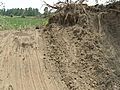 Race To Build Up Orrick Levees Under Way | BahVideo.com