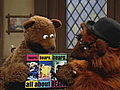 Bears Bears Bears | BahVideo.com
