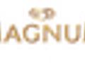 Magnum Ice Cream Film Series | BahVideo.com