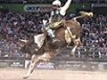 Australia s Professional Bull Riders | BahVideo.com