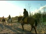 Selvatica Zip And Horseback Riding | BahVideo.com