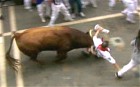Seven injured in Pamplona bull run | BahVideo.com