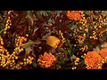 How to create a beautiful fall arrangement | BahVideo.com