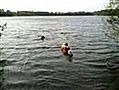 frodo en hummer in het water | BahVideo.com