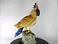 Handmade Stone Cockatoo Bird Sculpture | BahVideo.com