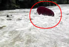 Shakira y Piqu cayeron al agua | BahVideo.com