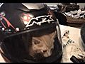 Helmet Kitteh | BahVideo.com