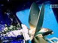 Dangerous Underwater Mission | BahVideo.com