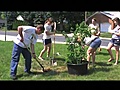 A Tree Grows in Emmaus | BahVideo.com
