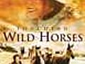 Touching Wild Horses | BahVideo.com