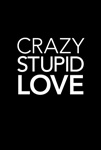  amp 039 Crazy Stupid Love amp 039  | BahVideo.com