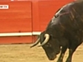 Spain The beginning of the end of bullfighting in Catalonia | BahVideo.com