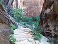 Tall wall in Echo canyon | BahVideo.com