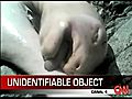 CNN Report- Mystery Creature | BahVideo.com