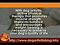 Treadmill and Dog Arthritis | BahVideo.com