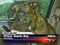 Catoosa PD Shoots amp Kills Dog | BahVideo.com