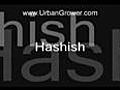 Urban Grower Hashish UG 41 | BahVideo.com