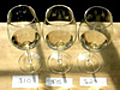 Taste Test Chardonnay | BahVideo.com