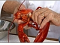 How To Cut a Lobster | BahVideo.com