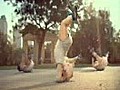 Evian Roller Babies  | BahVideo.com