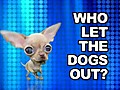 Who Let the Dogs Out | BahVideo.com
