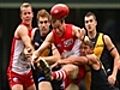 Swans prevail in wet conditions | BahVideo.com