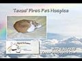 Pet Home Euthanasia Fort Worth Texas | BahVideo.com