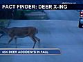 The Fact Finders Deer Xing | BahVideo.com