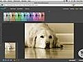 Adobe Photoshop on the Web | BahVideo.com