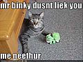 lolcats | BahVideo.com