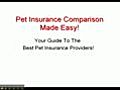 Pet Insurance Comparison Guide | BahVideo.com