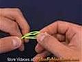 How To Tie A World s Fair Knot For Fly Fishing | BahVideo.com
