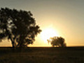 Sunrise Behind Trees on the Prairie Timelapse | BahVideo.com
