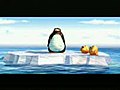 Funny Pinguins | BahVideo.com