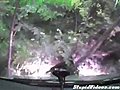 Car Hangs After Crash | BahVideo.com