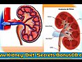 kidney infections diet kidney stones diet by Rachelle Gordon | BahVideo.com