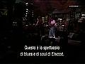 Blues Brothers Band - Green onions | BahVideo.com