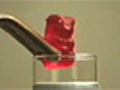 Gummy bears in acid  | BahVideo.com