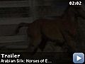 Arabian Silk Horses of Endurance short  | BahVideo.com