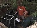 Rare Tadpoles Released Into Wild | BahVideo.com