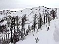 Snow Reel | BahVideo.com