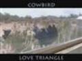 Cowbird Love Triangle | BahVideo.com